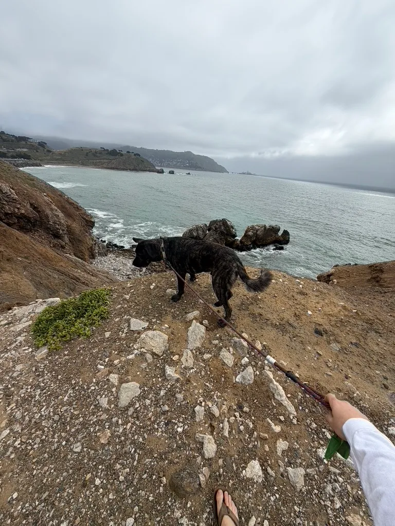 Walking a dog along a coastal trail