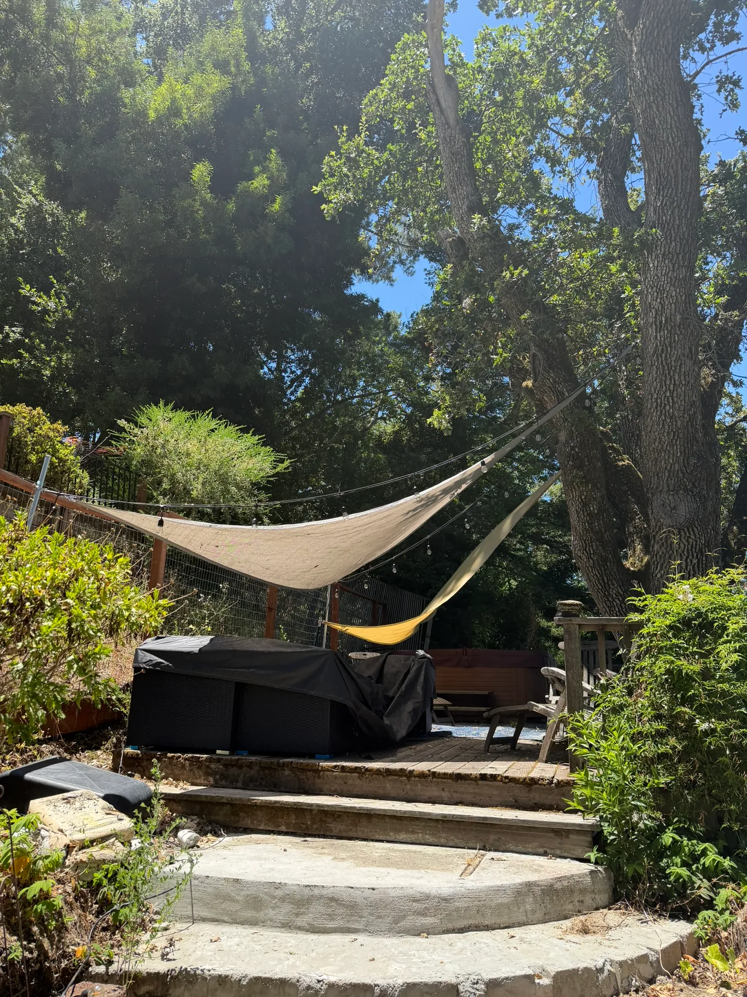 A shaded backyard with a hammock and garden seating