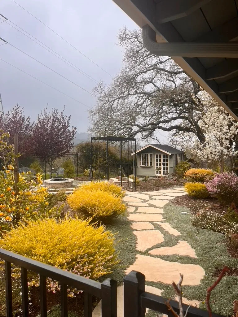 A cared-for backyard with a stepping-stone path, flowering shrubs, and lawn