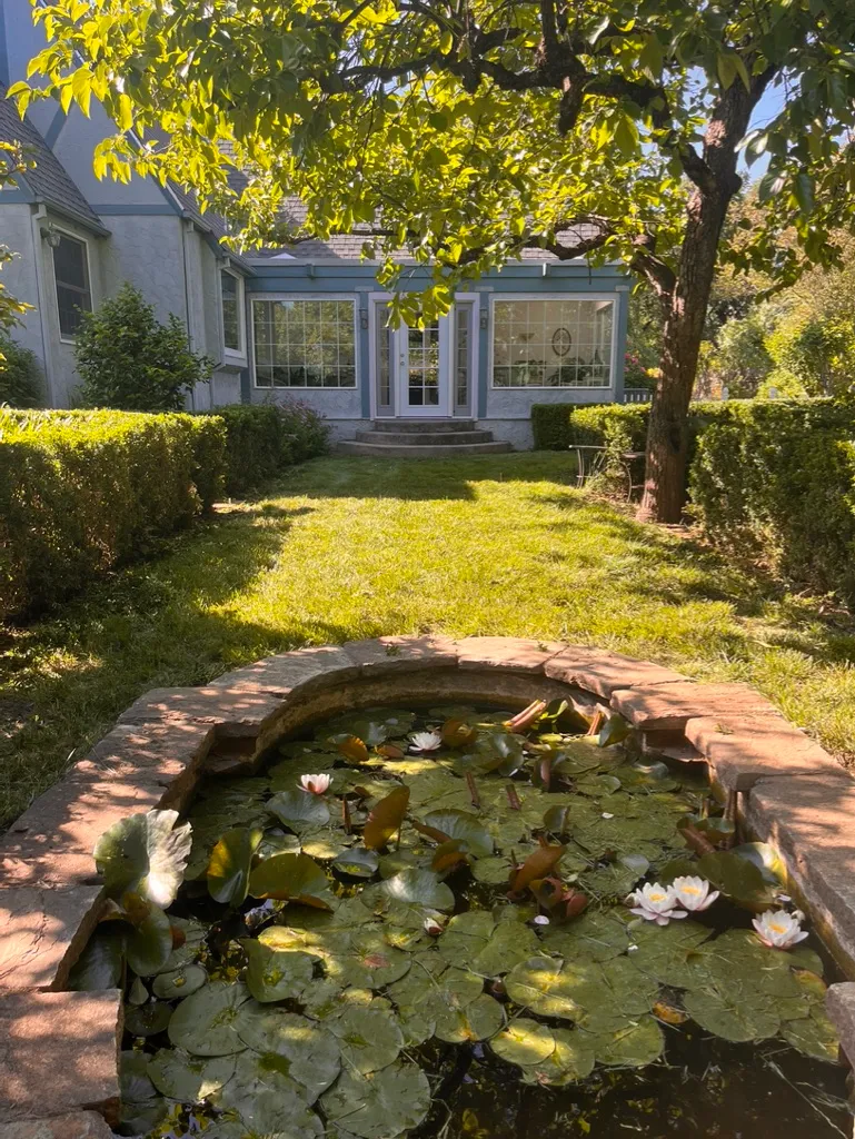 A small garden pond with lily pads and flowering water lilies