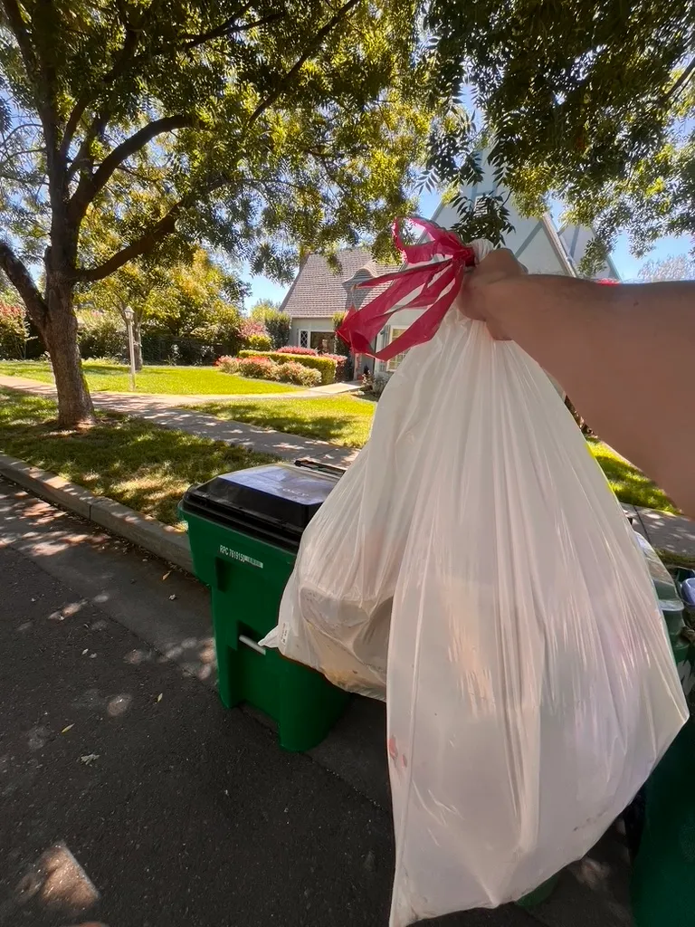 Bagged yard debris ready for cleanup and disposal