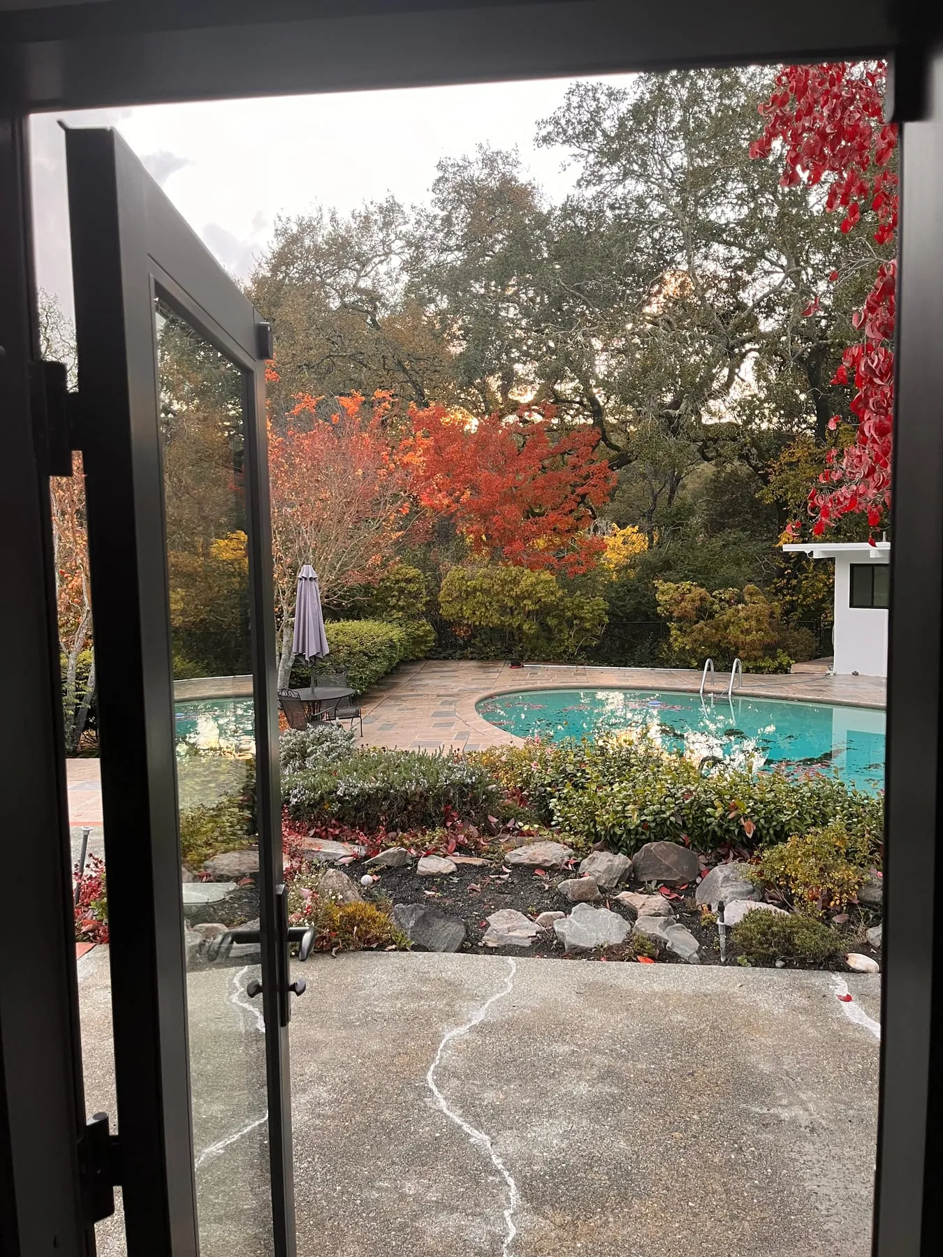 An autumn garden and swimming pool viewed through an open door