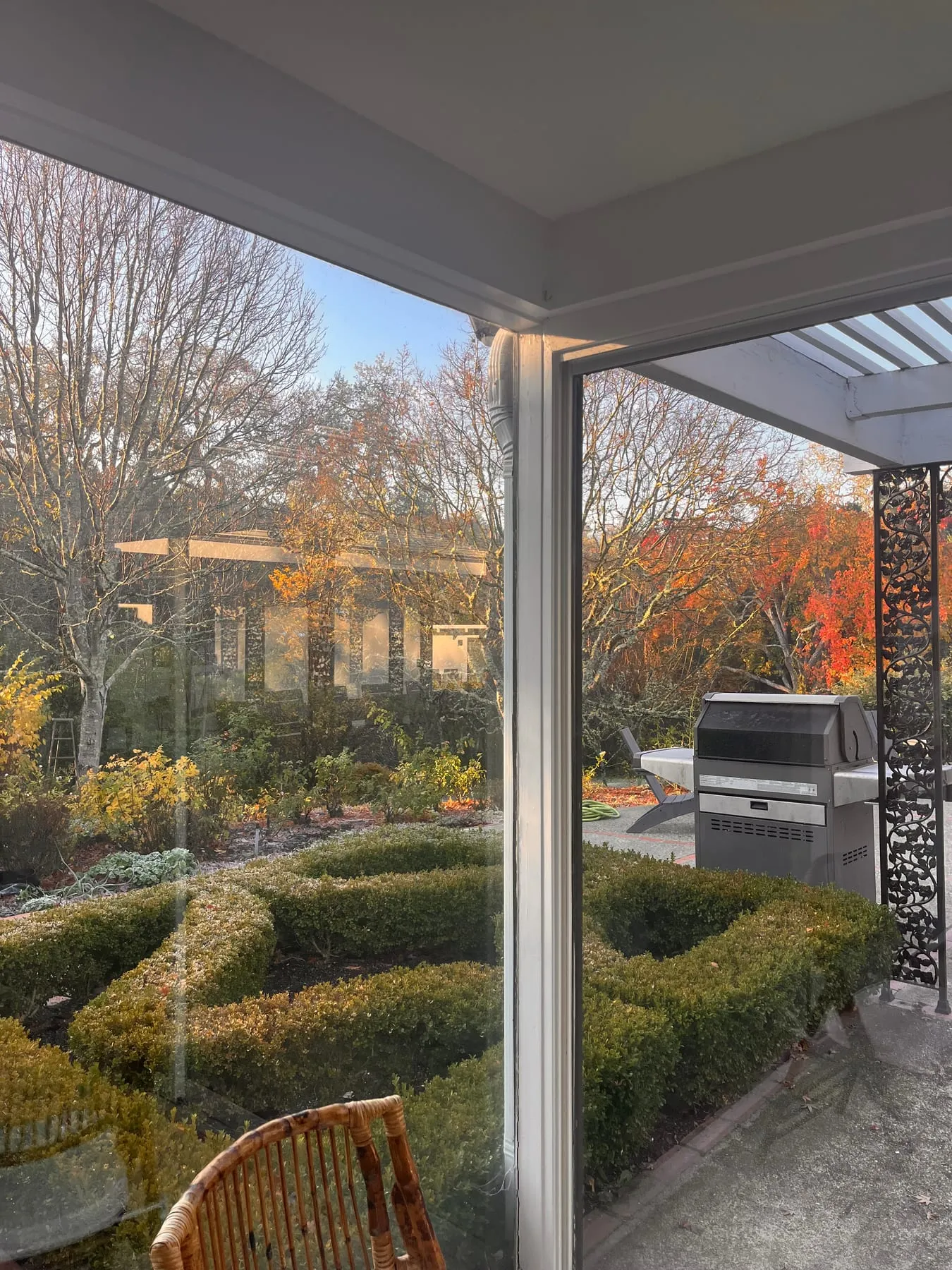 An established garden and patio viewed through large windows