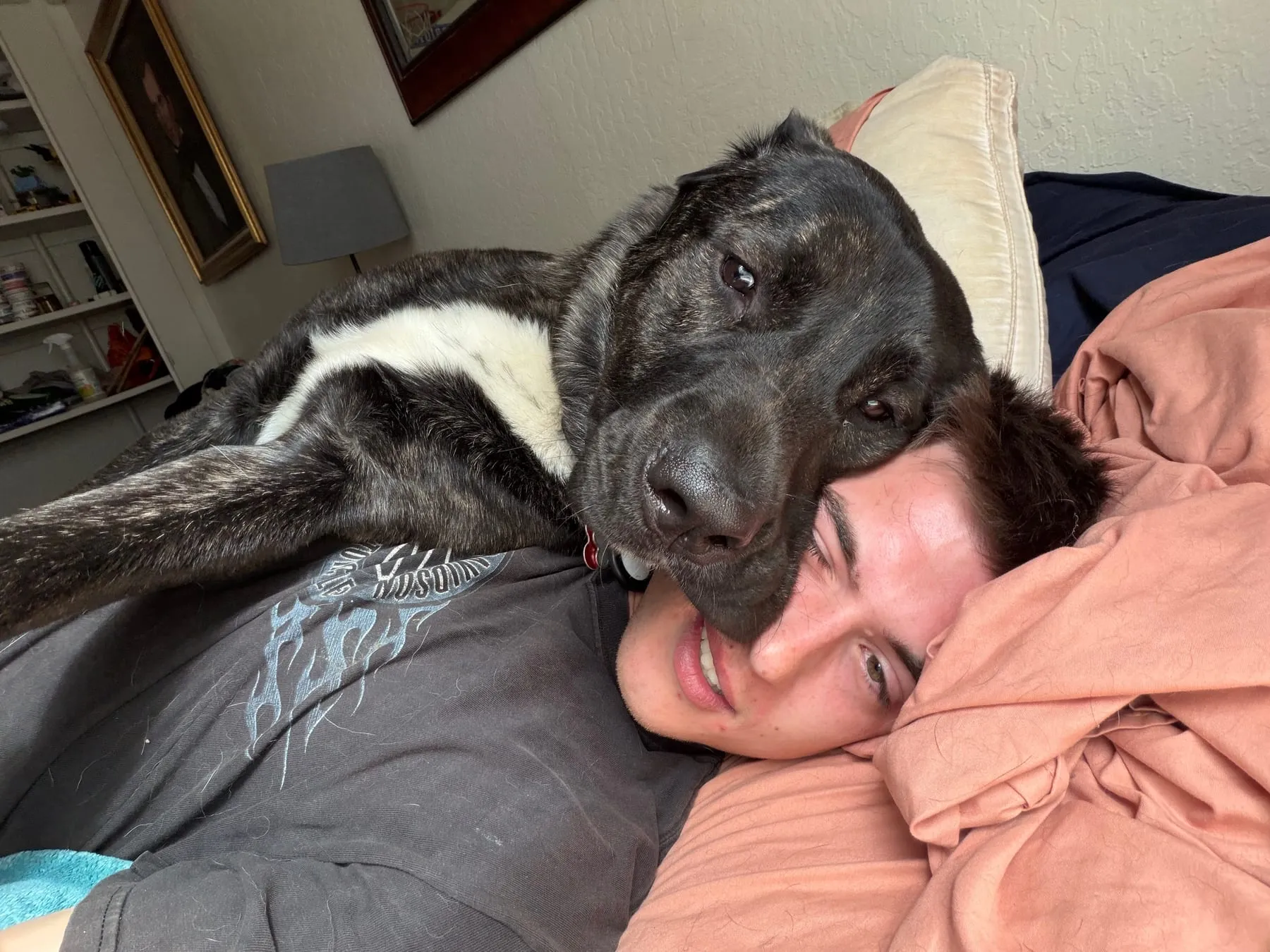 A large black dog resting its head on Zac